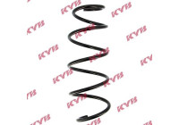 chassis spring RA4076 Kayaba