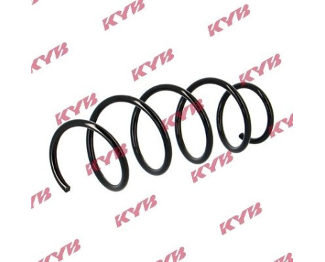 chassis spring RA4076 Kayaba, Image 2