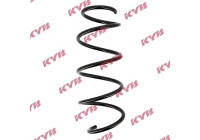 chassis spring RA4077 Kayaba