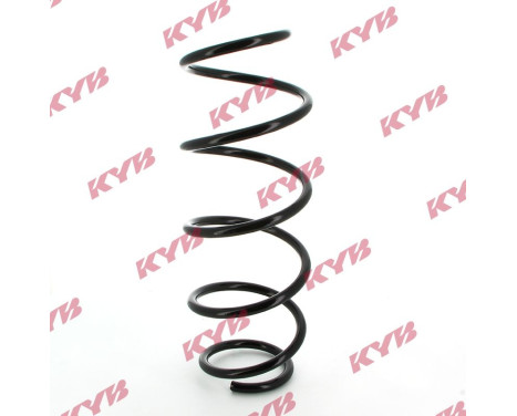 chassis spring RA4079 Kayaba
