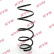 chassis spring RA4079 Kayaba