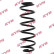 chassis spring RA5178 Kayaba