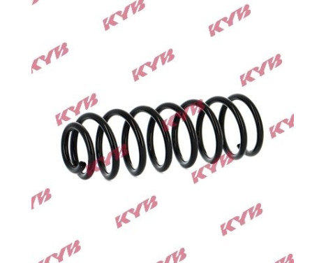 chassis spring RA5348 Kayaba, Image 2