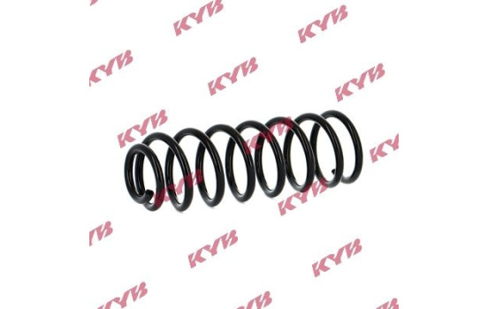 chassis spring RA5348 Kayaba, Image 2