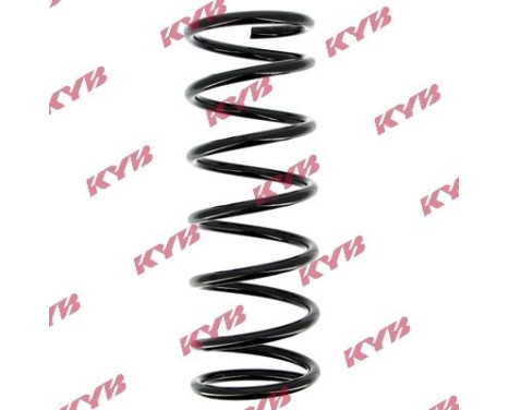 chassis spring RA5349 Kayaba