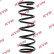 chassis spring RA5349 Kayaba