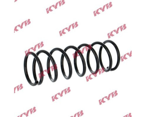 chassis spring RA5349 Kayaba, Image 2