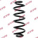 chassis spring RA5357 Kayaba