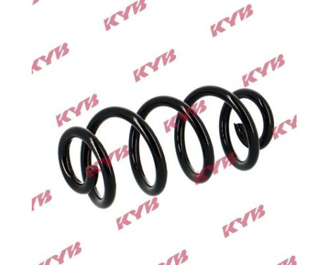 chassis spring RA5360 Kayaba