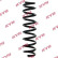 chassis spring RA5362 Kayaba
