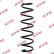 chassis spring RA5363 Kayaba