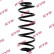 chassis spring RA5381 Kayaba