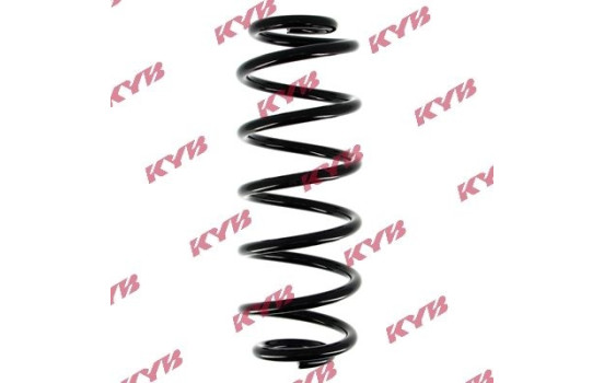 chassis spring RA5381 Kayaba