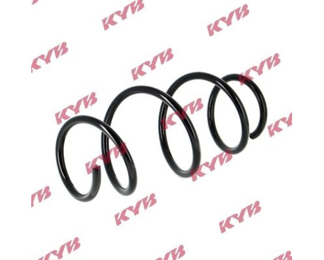 chassis spring RA5383 Kayaba, Image 2