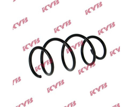 chassis spring RA5384 Kayaba, Image 2