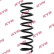 chassis spring RA5385 Kayaba