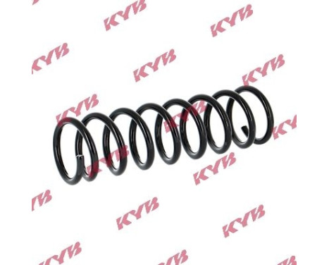 chassis spring RA5385 Kayaba, Image 2