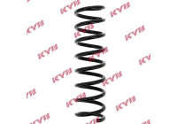 chassis spring RA5396 Kayaba