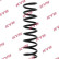 chassis spring RA5396 Kayaba