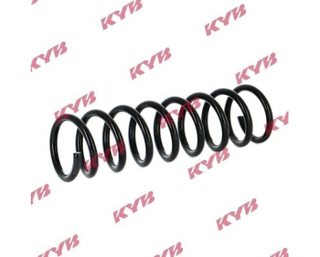 chassis spring RA5396 Kayaba, Image 2