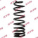 chassis spring RA5397 Kayaba