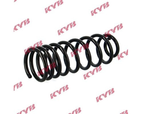 chassis spring RA5397 Kayaba, Image 2