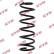 chassis spring RA5398 Kayaba