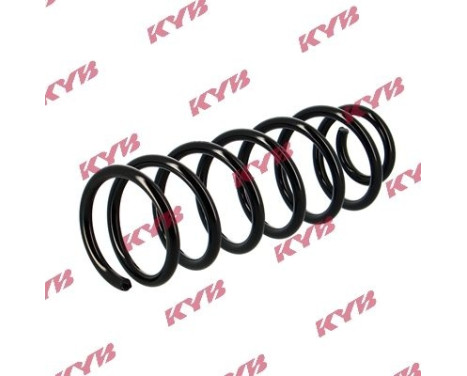 chassis spring RA5398 Kayaba, Image 2