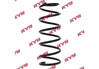 chassis spring RA5403 Kayaba