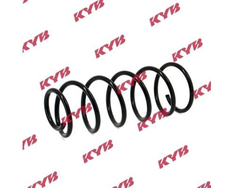 chassis spring RA5403 Kayaba, Image 2