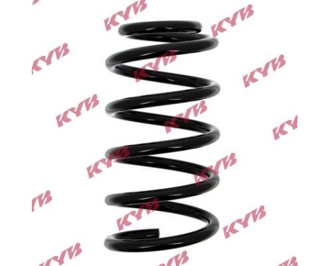 chassis spring RA5406 Kayaba