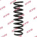 chassis spring RA5408 Kayaba