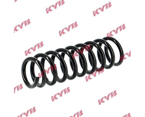chassis spring RA5409 Kayaba, Image 2
