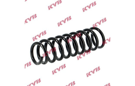chassis spring RA5409 Kayaba, Image 2