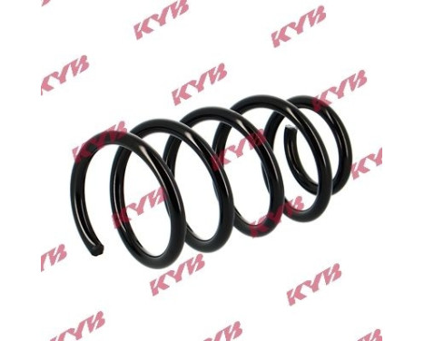 chassis spring RA5411 Kayaba