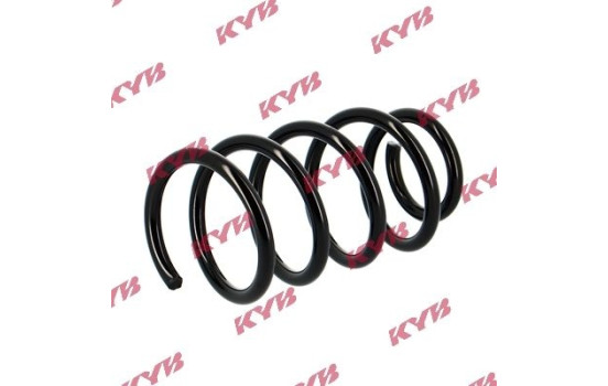 chassis spring RA5411 Kayaba