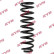 chassis spring RA5417 Kayaba