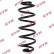 chassis spring RA5421 Kayaba