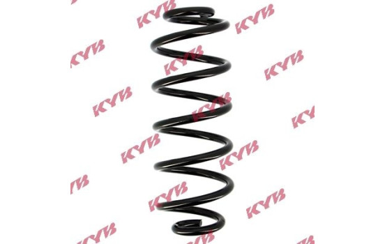 chassis spring RA5421 Kayaba
