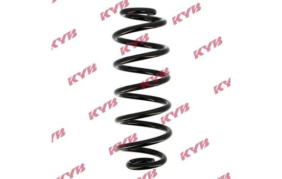 chassis spring RA5422 Kayaba