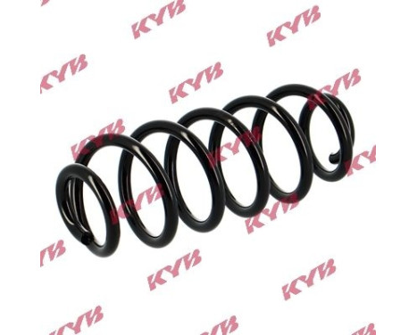 chassis spring RA5422 Kayaba, Image 2