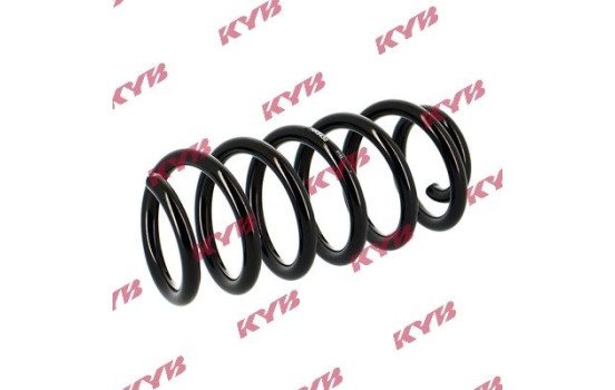chassis spring RA5430 Kayaba, Image 2