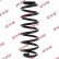 chassis spring RA5435 Kayaba
