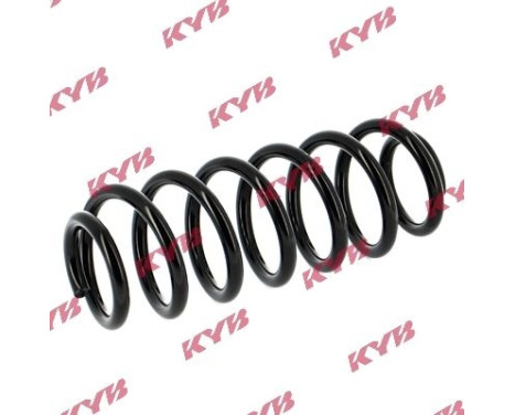 chassis spring RA5435 Kayaba, Image 2