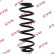 chassis spring RA5436 Kayaba