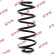 chassis spring RA5439 Kayaba