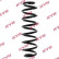 chassis spring RA5442 Kayaba