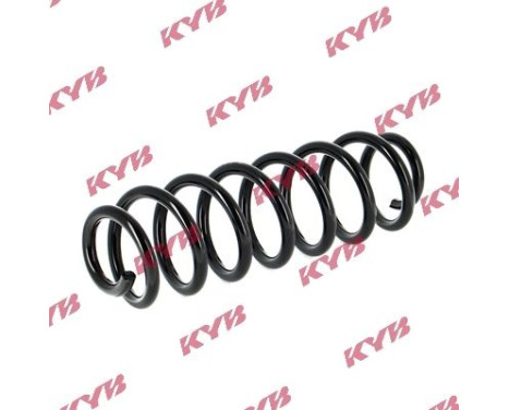 chassis spring RA5442 Kayaba, Image 2