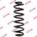 chassis spring RA5448 Kayaba
