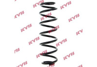 chassis spring RA5450 Kayaba